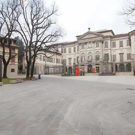 Papavero Accademia Carrara-3